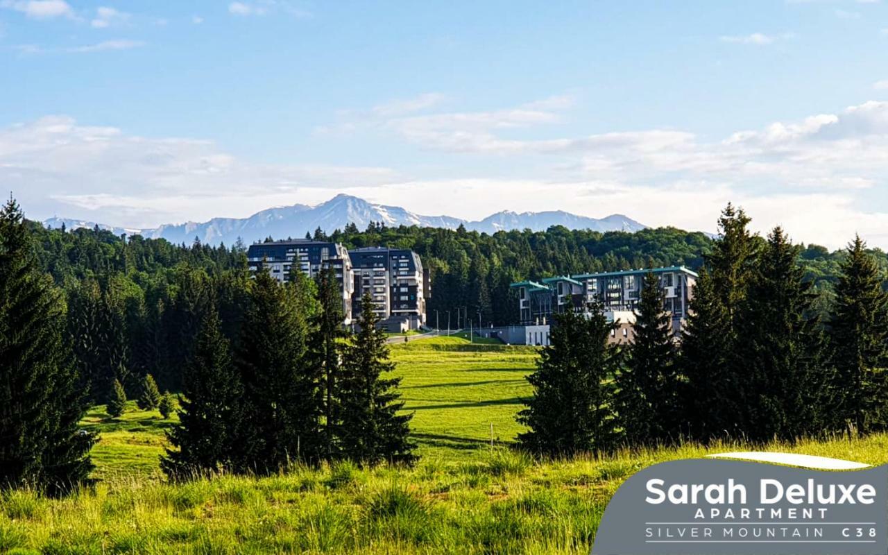 Sarah Deluxe Apartment In Silver Mountain 波亚纳布拉索夫 外观 照片