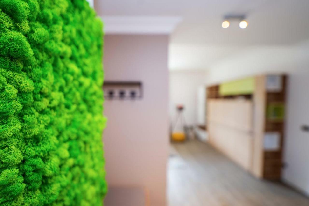 Sarah Deluxe Apartment In Silver Mountain 波亚纳布拉索夫 外观 照片